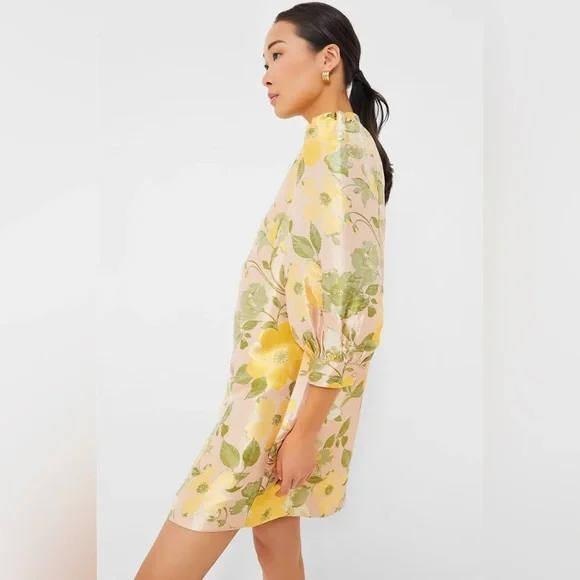 POMANDER PLACE small Daylily Jacquard Samantha Dress EUC - Picture 4 of 7